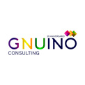 Gnuino Consulting